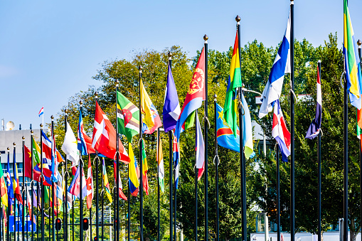 world countries flags map symbols -3d render