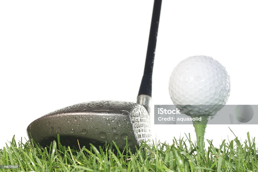 Teeing off with a driver in the wet. Driver with golf ball on a tee and grass on a white background in damp conditions. Close-up Stock Photo