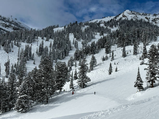 istock Snowy mountains in Jackson Hole, WY 1467314195