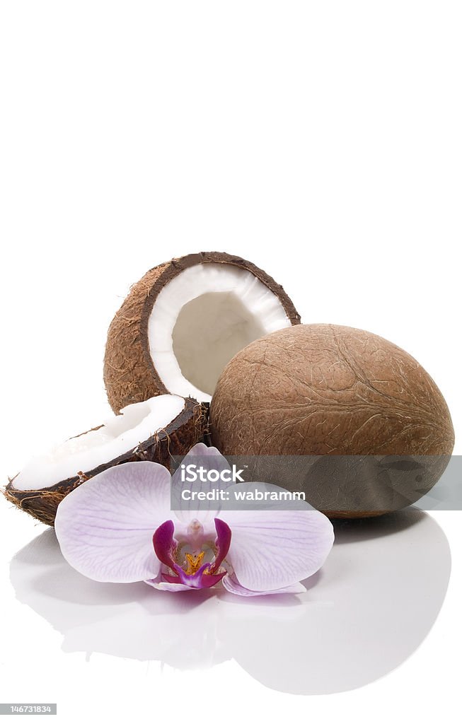 Cocos e Orquídea - Royalty-free Alimentação Saudável Foto de stock