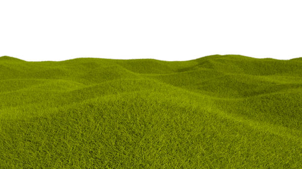 istock Green grass hill and field isolated on a white background, 3D illustration 1467319500