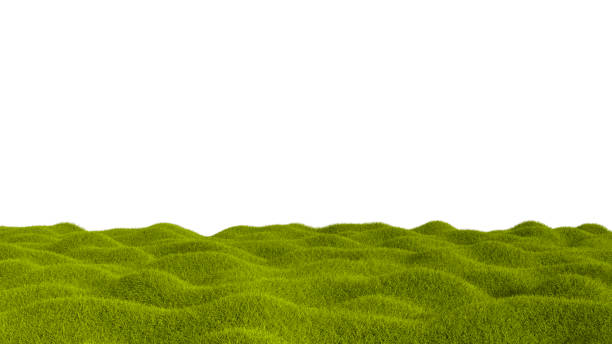 Green grass field isolated on a white background Green grass field isolated on a white background. 3D illustration green valley denmark stock pictures, royalty-free photos & images