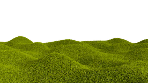 Green grass field isolated against a white background
