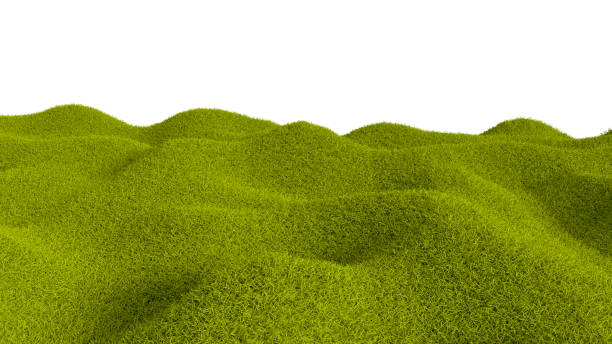 istock A field full of green grass and hills 1467319587