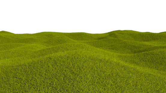 Green grass field isolated against a white background