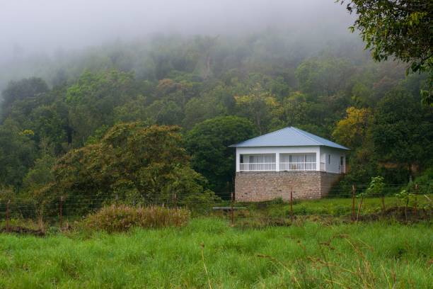 A beautiful house amidst a forest A nice looking wallpaper like landscape picture of a tourist bungalow inside the forest on a misty winter morning. verses stock pictures, royalty-free photos & images