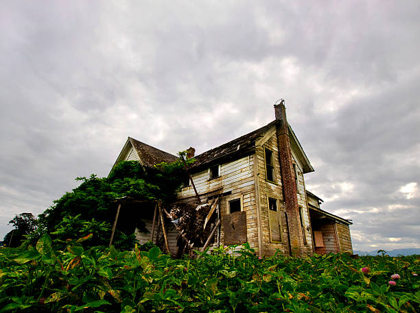 Derelict House stock photo