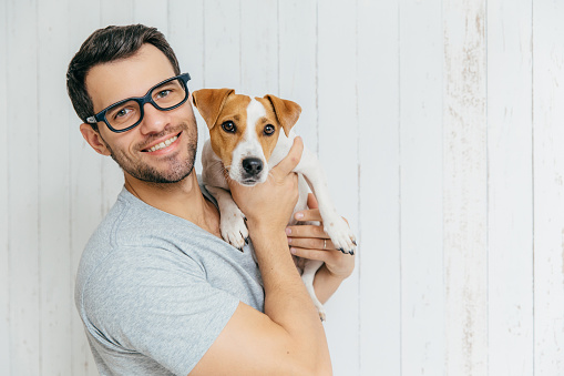 Horizontal portrait of handsome cheerful man, wears eyeglasses, holds jack russell terrirer, has glad expression, poses against white wooden wall with blank copy space. Animals and friendship