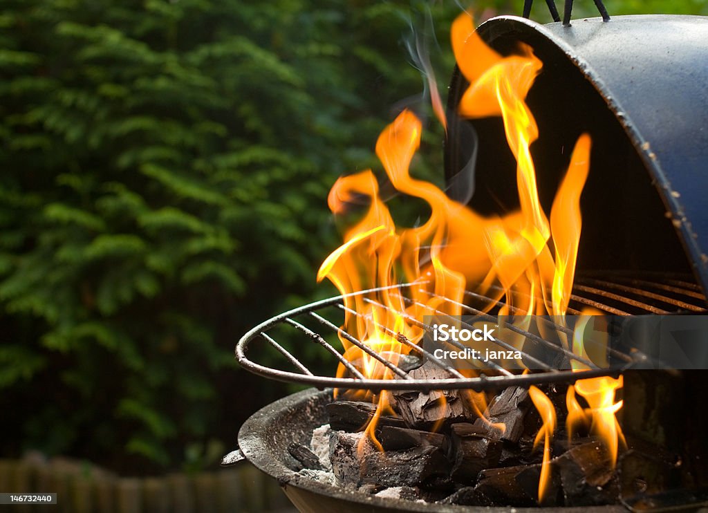 Barbecue grill heating up Barbecue grill heating up with flames. Green garden plants in the background. Copy space on the left. Barbecue Grill Stock Photo