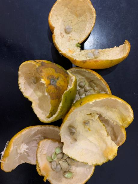 istock orange peel and orange seeds 1467327861