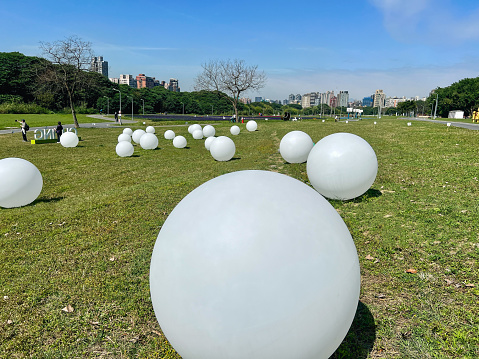 White ball on green grass