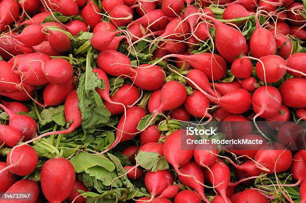 Photo libre de droit de Rouge Radis banque d'images et plus d'images libres de droit de Betterave dorée - Betterave dorée, Brassicaceae, Famille des légumineuses