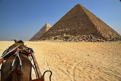 Horseback riders on the background of  Giza pyramids at sunset