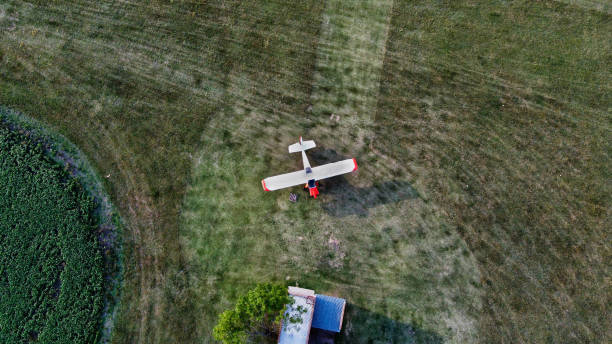 Plane parked on a green grass field
