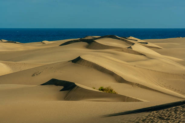 istock Desert dunes in Southern Las Palmas, Spain 1467337390