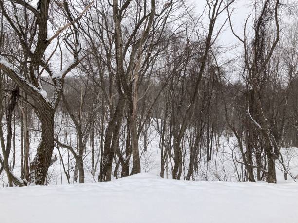 istock snow ski Minakami Gunma Japan 1467338767