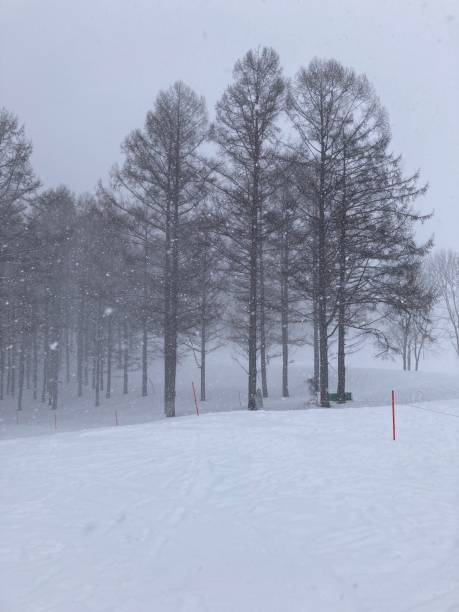 istock snow ski Minakami Gunma Japan 1467339010