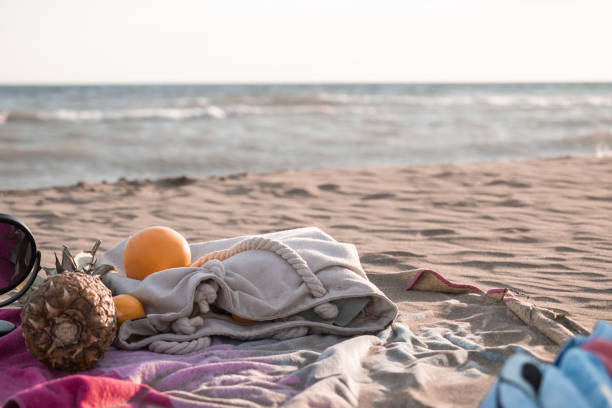 istock Picnic next to the sea 1467341623