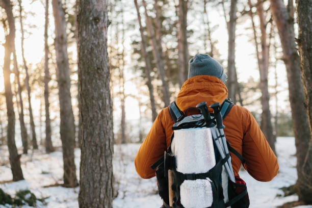 istock Bearded man trail hiking in a mountain forest. 1467341859