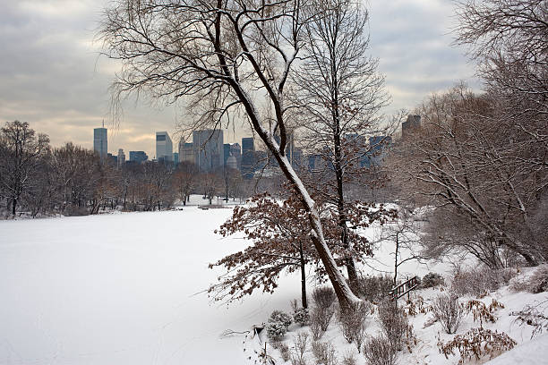 istock The lake in winter 146734209