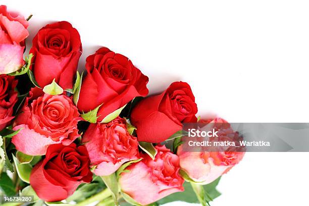 Rosen Stockfoto und mehr Bilder von Blume - Blume, Blumenbouqet, Blumenstrauß