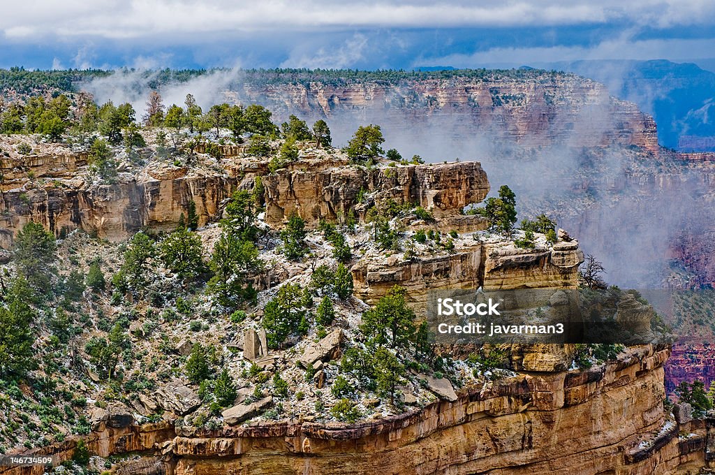 Panorama du Grand Canyon en Arizona, États-Unis - Photo de Arbre libre de droits