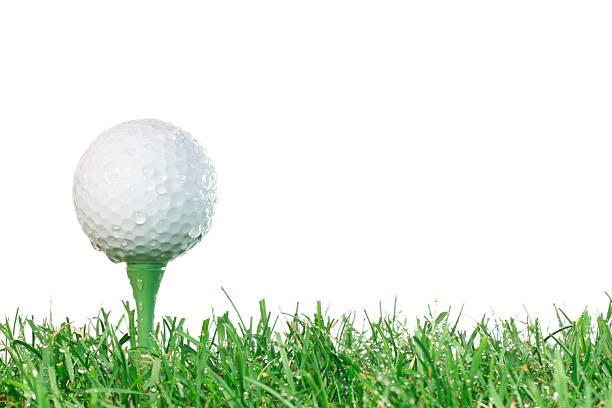 istock Golf ball on a tee in the wet. 146734581