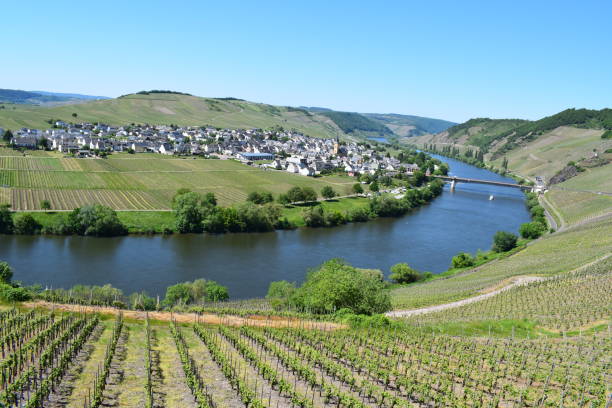istock Mosel valley near Trittenheim 1467346022