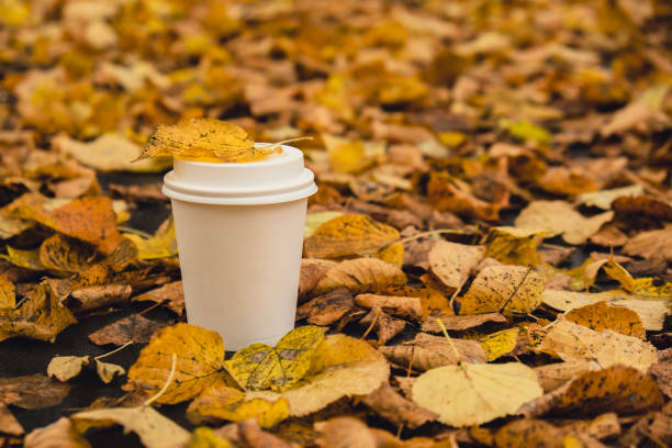 istock Eco zero waste white paper cup copy space mockup. Fall leaves and cup of tea coffee to go next to autumn nature. Unite with nature 1467346069