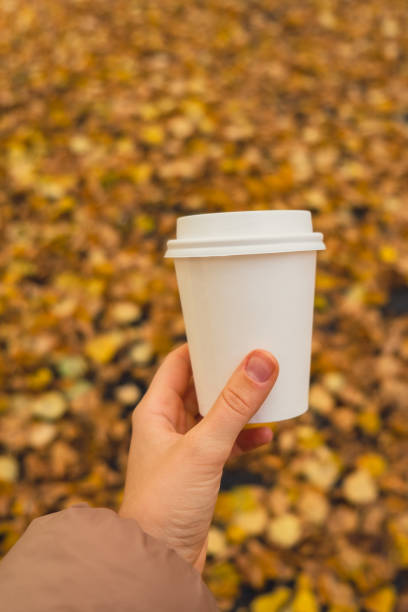 istock Unrecognizable woman hand holding Eco zero waste white paper cup copy space mockup. Fall leaves and cup of tea coffee to go next to autumn nature. Unite with nature 1467346105