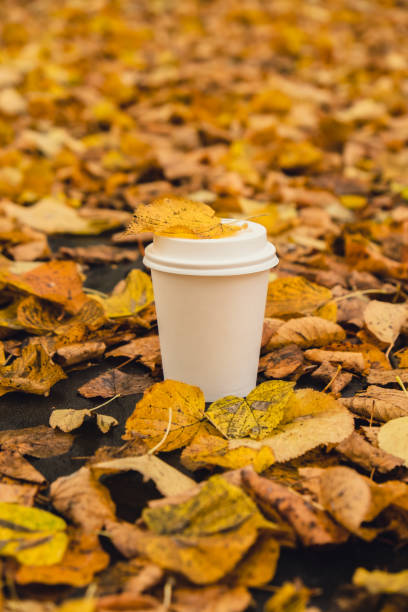 istock Eco zero waste white paper cup copy space mockup. Fall leaves and cup of tea coffee to go next to autumn nature. Unite with nature 1467346216