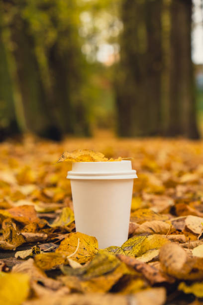 istock Eco zero waste white paper cup copy space mockup. Fall leaves and cup of tea coffee to go next to autumn nature. Unite with nature 1467346257