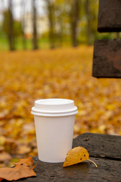 istock Eco zero waste white paper cup copy space mockup in wooden bench in park. Fall leaves and cup of tea coffee to go next to autumn nature. Unite with nature 1467346264