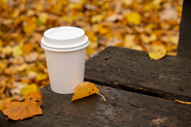 istock Eco zero waste white paper cup copy space mockup in wooden bench in park. Fall leaves and cup of tea coffee to go next to autumn nature. Unite with nature 1467346445