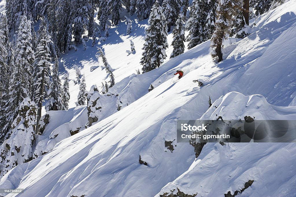 Backcountry esquiador nas árvores - Royalty-free Adulto Foto de stock