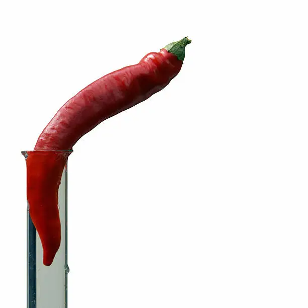 red hot chili pepper in tube with cold water, to cool down a bit, isolated on a white background