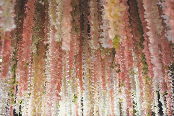 hanging flowers decor