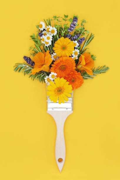 istock Paint Brush Abstract Summer Flower Splash Surreal Concept 1467355314