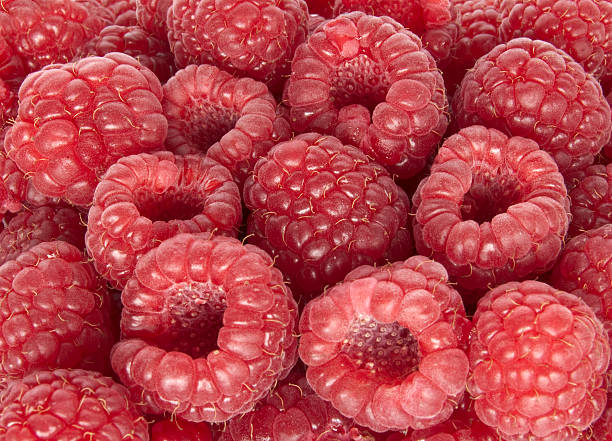 Raspberry stock photo