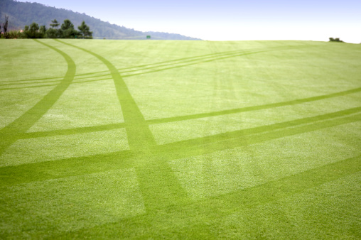 Haphazard golf cart tracks on a dew covered fairway.