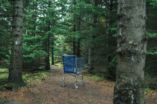 Empty grocery cart stands on forest trail. Shopping cart abandoned in the woods for no apparent reason.