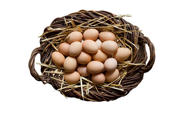 Basket of Eggs stock photo