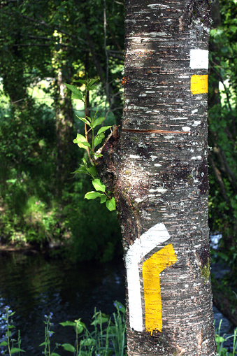 Route deviation sign painted on tree bark and riverbank landscape. Galicia, Spain.