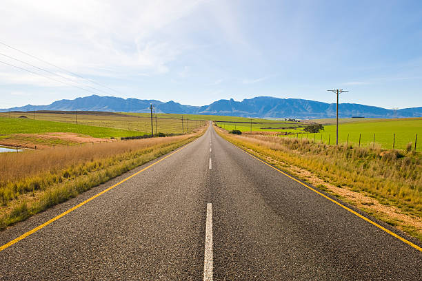 Deserted country-road running through green fields stock photo