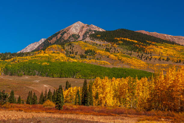 istock Colorful Colorado 1467369703