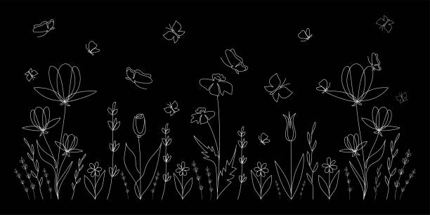 ilustrações de stock, clip art, desenhos animados e ícones de beauty botanical art on the black background. meadow with abstract flowers and flying butterflies. white silhouette. floral pattern. decorative elements in minimalist style. vector illustration. - leaf black background line art nature