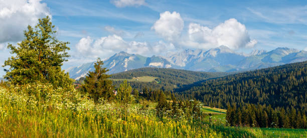 istock Summer mountain evening country panorama 1467373060
