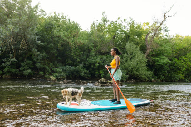 istock Woman and her pet on standup paddleboard 1467375526