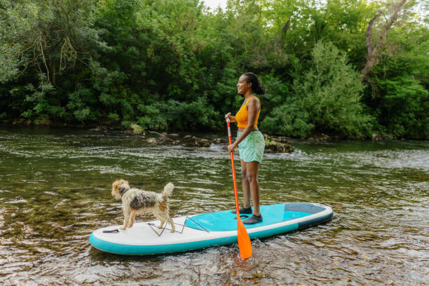 istock Woman and her pet on standup paddleboard 1467375585