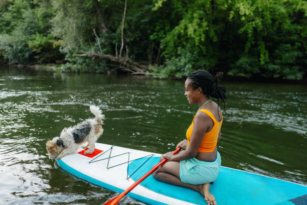 istock Woman and her pet on standup paddleboard 1467375626